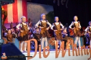 Die Wikinger im Ostseebad, hoffentlich werden sie auch satt Sa. 18.02.2017_25